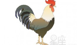 属鸡的女人在线观看